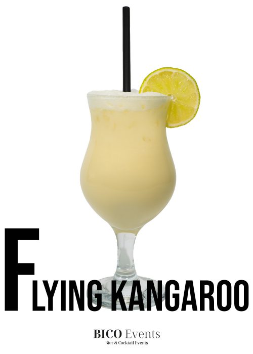 Flying Kangaroo